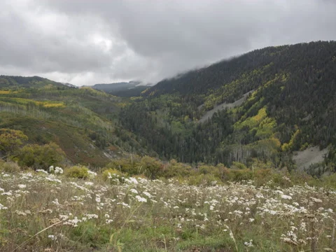 Storm Over Rocky Mountains with fall colors time-lapse Stock Footage 161902322