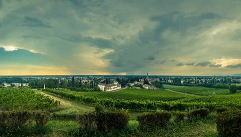 Storm over the vineyard Stock Photos