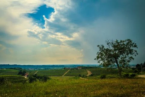 Storm over the vineyard Stock Photos