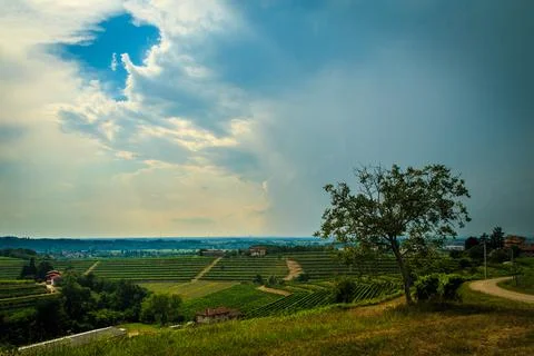 Storm over the vineyard Stock Photos