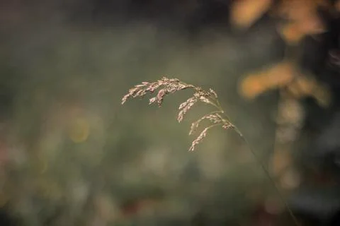 Before the storm Stock Photos