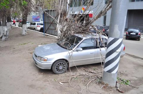 The Storm Stock Photos