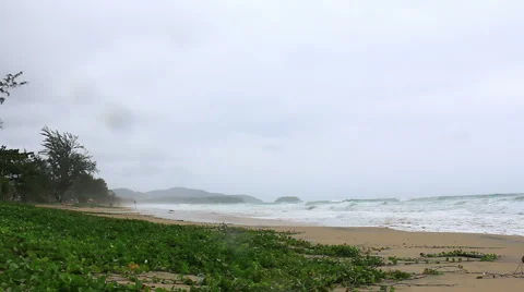 Storm rain on the beach Stock-Footage 64093577