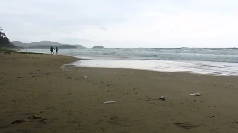 Storm rain on the beach Stock-Footage 64093617