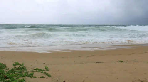 Storm rain on the beach Stock-Footage 64093683