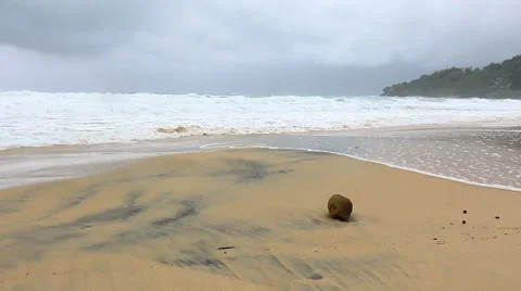 Storm rain on the beach Stock-Footage 64093837