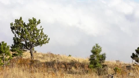 Storm Rolling in from Mountains in Boulder Colorado, Rocky Mountains Storm Stock Footage 254784448