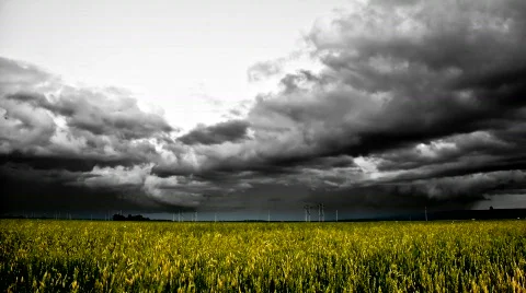 Storm rolls over grain field Video stock 503403