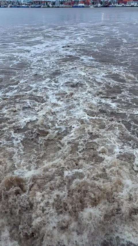 Storm Runoff to the Sea Stock Footage 327561343