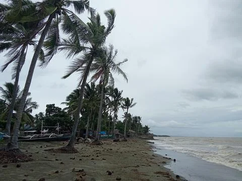 Storm at sea. Beach. Photos
