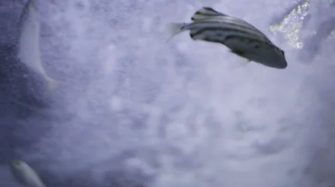 Storm at sea Stock Footage 49024522