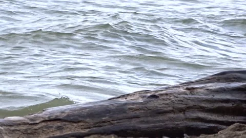 Storm at sea Stock Footage 281194478