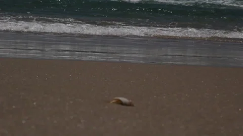 Storm at sea, the waves 3 Stock Footage 51329796
