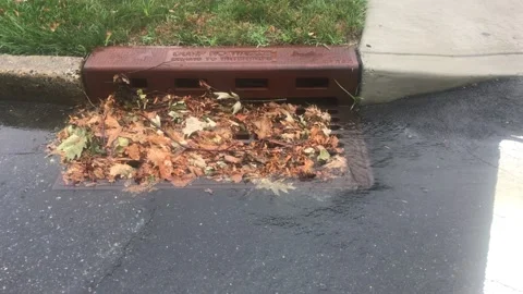 Storm Sewer Stock Footage 135039271