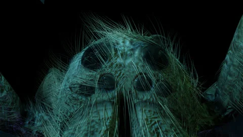 Storm Sewer Spider Stock Footage 250924357