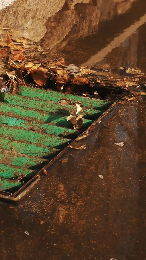 Storm sewer. spring thaw in the city. melt water flows in streams into the Stock Footage 316466917