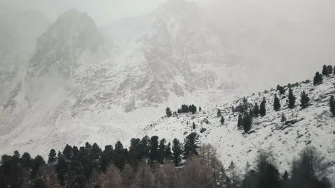 Storm, snowfall in the huge glacier of Mount Belukha, the valley of the Aktru Stock-Footage 164365982