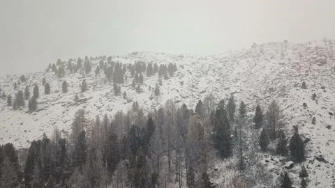 Storm, snowfall in the huge glacier of Mount Belukha, the valley of the Aktru Stock-Footage 164366526