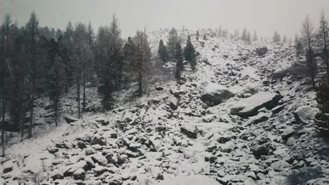 Storm, snowfall in the huge glacier of Mount Belukha, the valley of the Aktru Stock-Footage 164369947