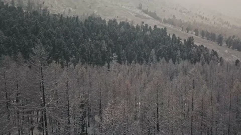 Storm, snowfall in the huge glacier of Mount Belukha, the valley of the Aktru Stock Footage 164375893