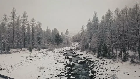 Storm, snowfall in the huge glacier of Mount Belukha, the valley of the Aktru Stock Footage 164376068