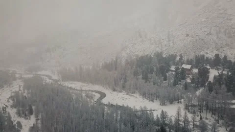 Storm, snowfall over the winter forest in the valley of the Aktru River, Altai Stock Footage 164365800