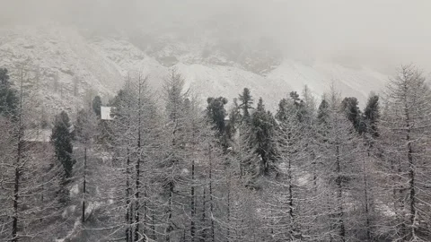 Storm, snowfall over a winter forest and a small village in the valley of the Stock Footage 164370823