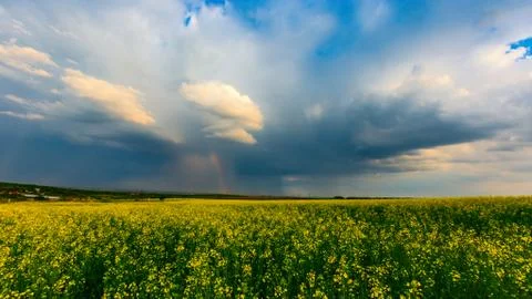 Storm in steppe Stock Photos