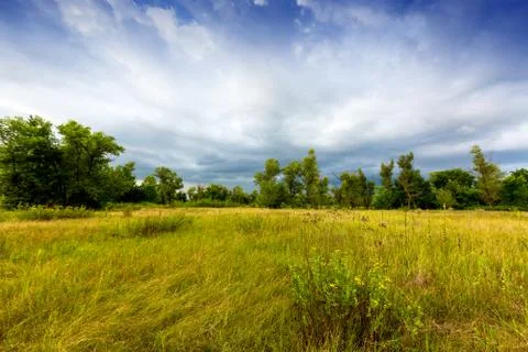 Storm in steppe Stock Photos