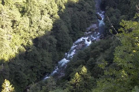Storm stream. River flowing through the forest. It was shot in Rize Turkey. L Foto stock