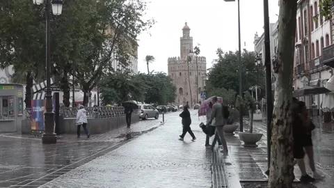 The storm that triggered orange alerts passes through Andalusia without signific Stock Footage 320569607