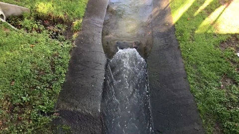Storm Water Drain flowing between a Grassy Verge Video stock 173035202