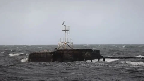 Storm waves at Ayr harbour Stock Footage 169357641