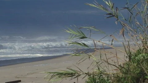 Storm Waves with beach grass Stock Footage 719427