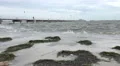Storm Waves Crashing On Sidewalk Tampa Bay 4k or 4k+ Resolution