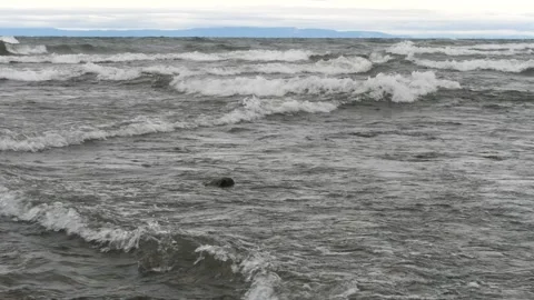 Storm waves roll onto the rocky beach of the evening lake Baikal. Video stock 290120136
