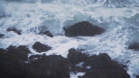Storm waves shore Stock Footage 167035997