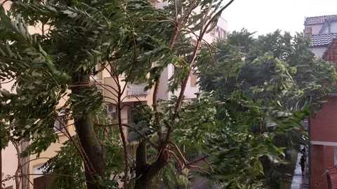 Storm Wind and Rain in the City 스톡 동영상 337511894