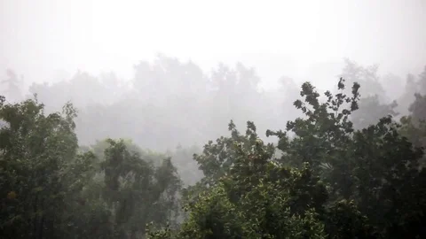 Storm wind and raining in the city Stock Footage 76367559