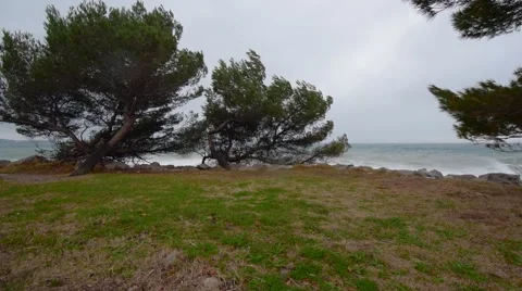 Storm wind and waves on the coast Stock-Footage 60230034