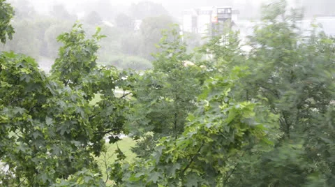 Storm with wind Видео 25710317