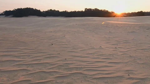 Storm wind over sand dunes at sunrise Video stock 87707287