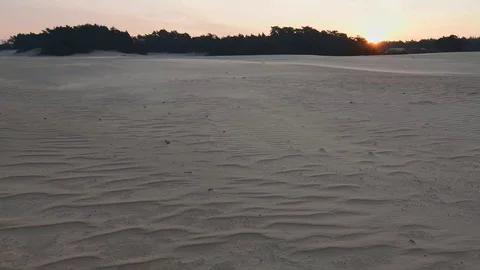 Storm wind over the sand dunes at sunrise Video stock 87707290