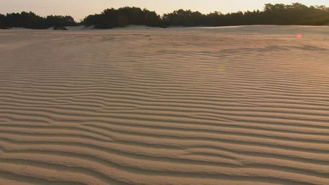 Storm wind over the sand dunes at sunrise Stock Footage 87707542
