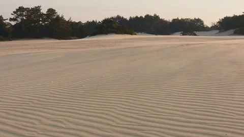 Storm wind over the sand dunes at sunrise Video stock 87707795