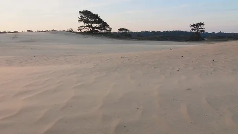 Storm wind over sand dunes at sunrise with moving clouds of sand in the wind Video stock 99152838