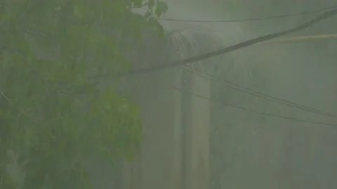 Storm wind with rain in the city Video stock 139326356