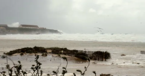 Storm wind spain coast beach birds waves baleario bad weather 库存影片 90564817