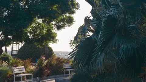 A storm wind sways the palm tree branches and large waves roll onto the shore Stock Footage 323837780