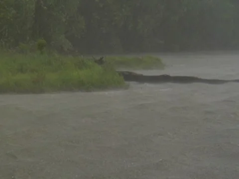 Storm Wind Waves Lake River Flooding Rain Weather Hurricane (1) 動画素材 7765407